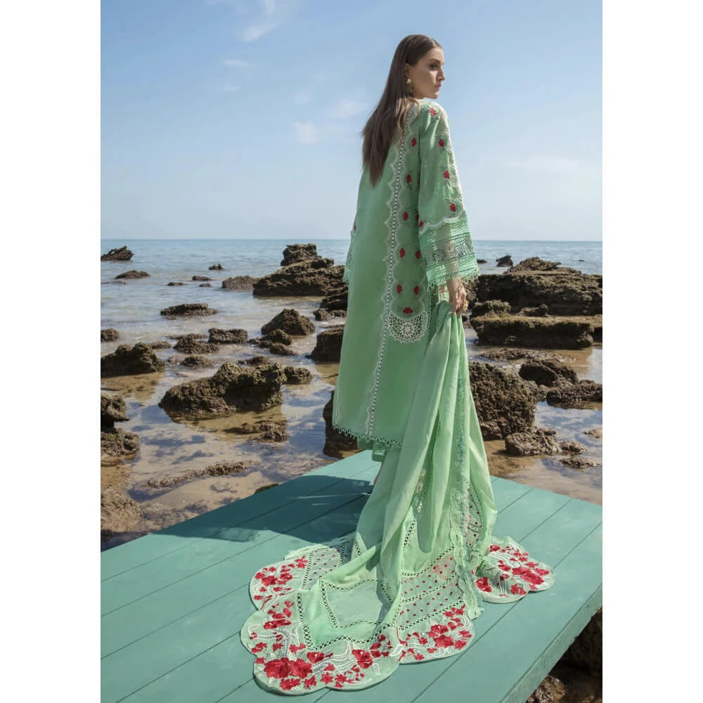 Crimson Lawn, Spring Blooms - D3 B